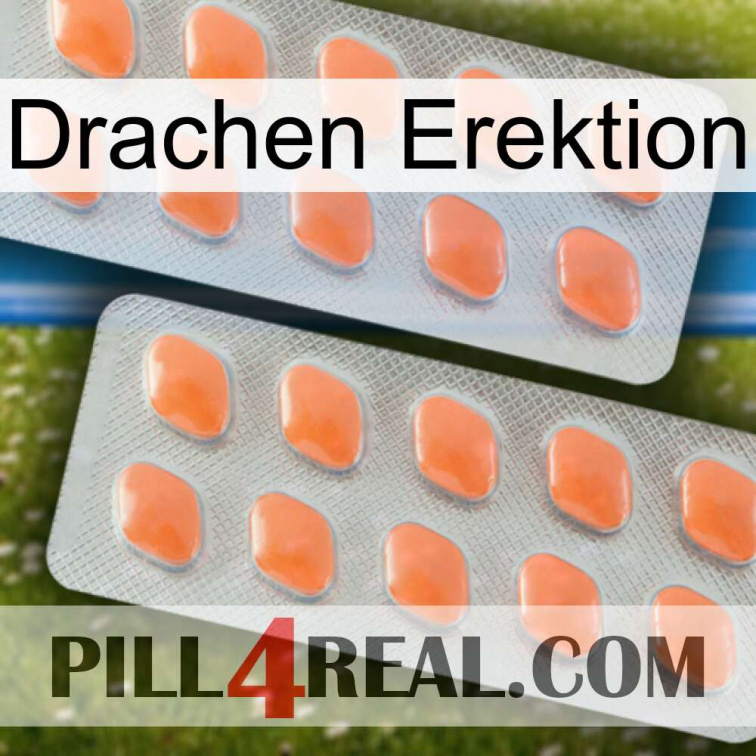Dragon Erection 27